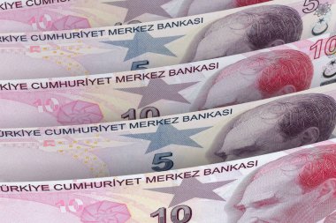 Türk lira banknotları. Döviz piyasası. Mali konsept