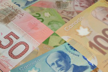 Kanada Doları Banknotları. Dış Döviz Borsası. Mali Konsept