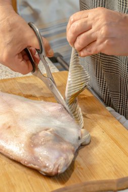 Şef taze bir pisi balığının yüzgecini kesmek için makas kullanır.