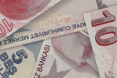 Türk lira banknotları. Döviz piyasası. Mali konsept