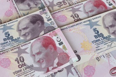 Türk lira banknotları. Döviz piyasası. Mali konsept
