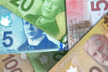 Kanada Doları Banknotları. Dış Döviz Borsası. Mali Konsept