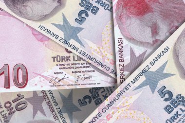 Türk lira banknotları. Döviz piyasası. Mali konsept