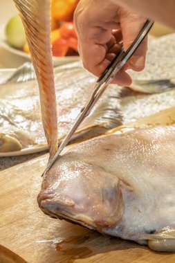 Şef taze bir pisi balığının yüzgecini kesmek için makas kullanır.