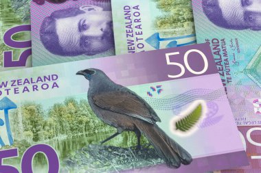 Yeni Zelanda Doları banknotları. Dış Döviz Borsası. Mali Konsept