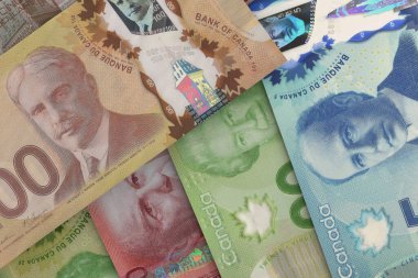 Kanada Doları Banknotları. Dış Döviz Borsası. Mali Konsept