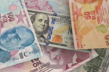 Türk lirası ve Amerikan doları banknotları. Nakit. Mali konsept.