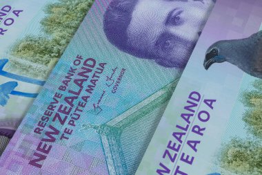 Yeni Zelanda Doları banknotları. Dış Döviz Borsası. Mali Konsept
