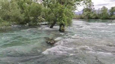 Nehirde su baskını. Su, fırtınalı bir gökyüzüne karşı ağaçları sular altında bıraktı..