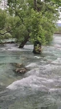 Nehirde su baskını. Su, fırtınalı bir gökyüzüne karşı ağaçları sular altında bıraktı..