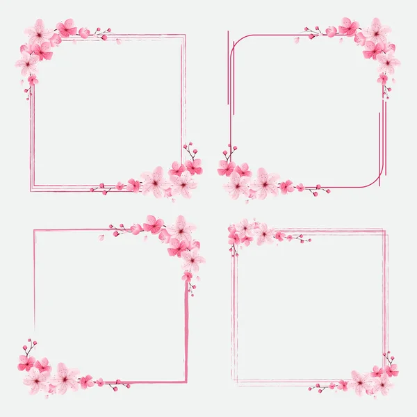 Kirschblüten Rand Schablone Rahmen Blume Quadrat Sakura Vektor Illustration — Stockvektor
