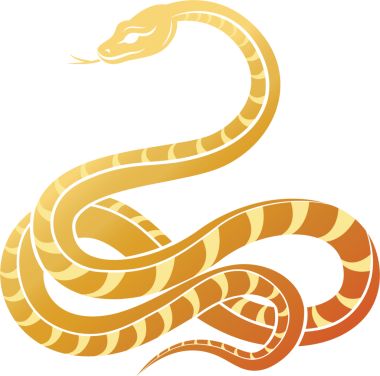 Ay yeni yılı, Çin yeni yılı 2025, Yılan yılı