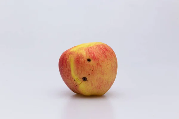Solucanlar Tarafından Yenen Kırmızı Çürük Elma Konsepti — Stok fotoğraf