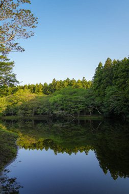Gözlerden uzak ve güzel bir ormanla çevrili Lakeside.