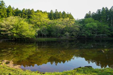 Gözlerden uzak ve güzel bir ormanla çevrili Lakeside.