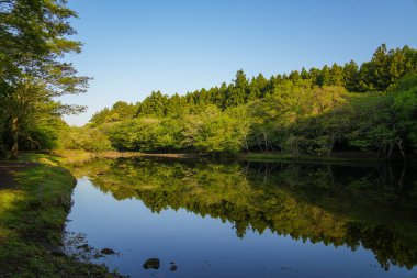 Gözlerden uzak ve güzel bir ormanla çevrili Lakeside.