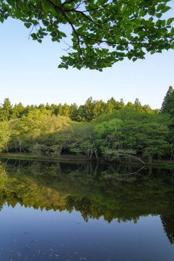 Gözlerden uzak ve güzel bir ormanla çevrili Lakeside.