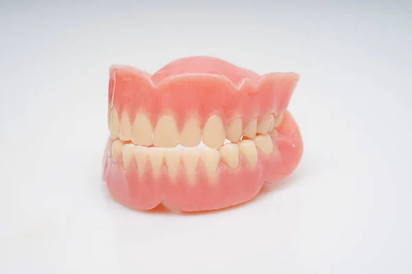 Medizinisches Image Durch Zahnmodell Und Zahnbürste Stockfoto