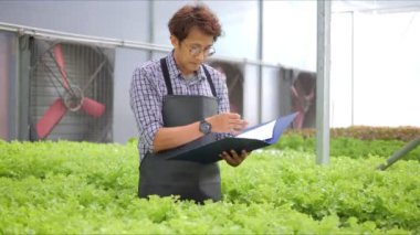 Asyalı erkek çiftçi sera çiftliğindeki organik bitki bahçesinin kalitesini ve miktarını kontrol ediyor. Organik sebzeler su ve tarım sektöründe yetiştirilir..