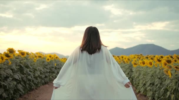 Kembali Melihat Perempuan Terhadap Bidang Bunga Matahari Bergoyang Nikmati Alam — Stok Video