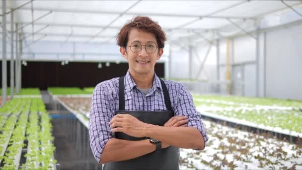 亚洲男性农场主的画像在现代水栽菜园中成功地看到了相机的快乐 — 图库视频影像