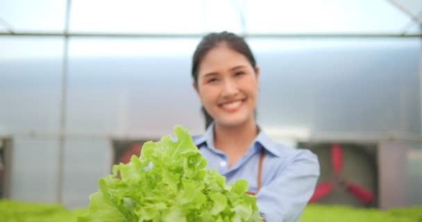 Asijské Farmářky Předvádějí Moderní Hydroponické Zeleninové Farmě Zelený Dub Ruce — Stock video