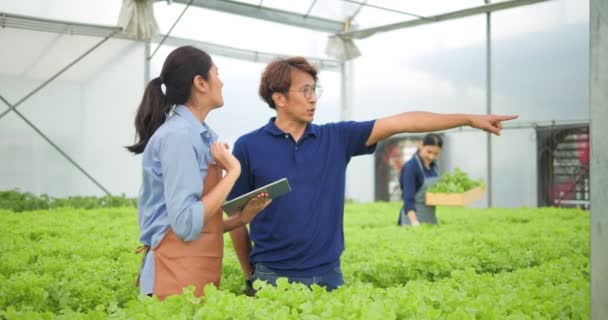 Agricultor Asiático Usando Tablet Para Verificar Segurança Dos Vegetais Orgânicos — Vídeo de Stock