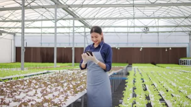 Successful Asian Woman Farmers Working Using Mobile Selling Products Online — Stock Video
