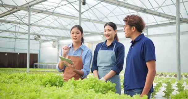 Ιδιοκτήτης Ασιατικός Αγρότης Του Κήπου Βιολογικών Λαχανικών Δίνει Συμβουλές Στους — Αρχείο Βίντεο