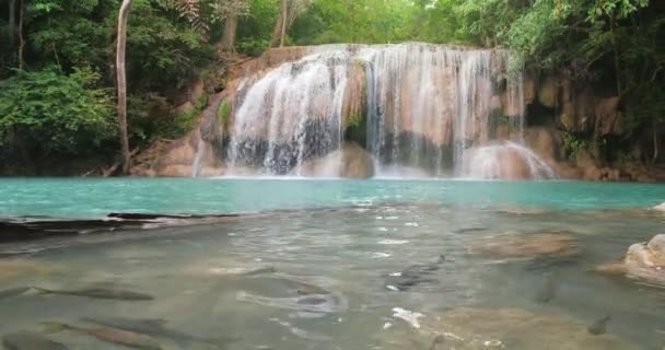 Cachoeira Água Esmeralda Clara Com Peixes Para Férias Relaxar Viajar — Vídeo de Stock