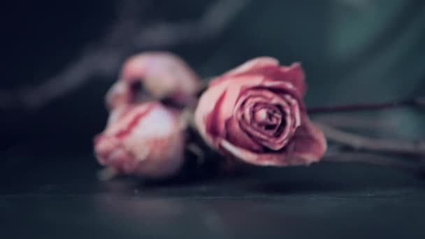 枯萎的玫瑰花朵落在黑色的背景上 一束枯萎的玫瑰 凋谢玫瑰的背景 枯萎新娘的花束 慢动作 — 图库视频影像