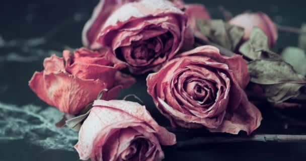 枯萎的玫瑰 黑色背景的花朵 枯萎的玫瑰束 凋谢玫瑰的背景 枯萎新娘的花束 — 图库视频影像
