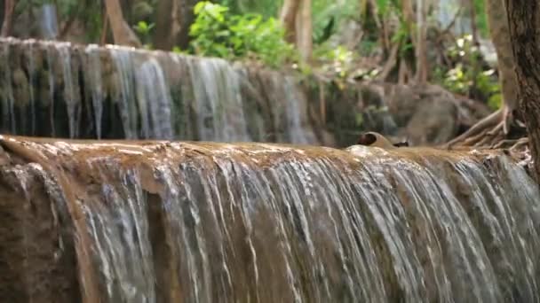 Movimento Lento Cachoeira Selvagem Montanha Fluxo Claro Abundante Que Flui — Vídeo de Stock