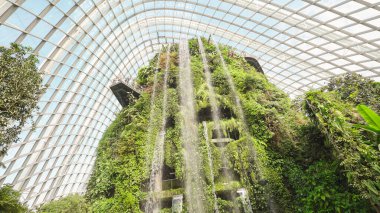 Singapur - 23 Eylül 2022 Tropikal çiçekli yüksek şelale ve körfez yakınlarındaki Gardens Bulut Ormanı 'nda bitki yetiştirme