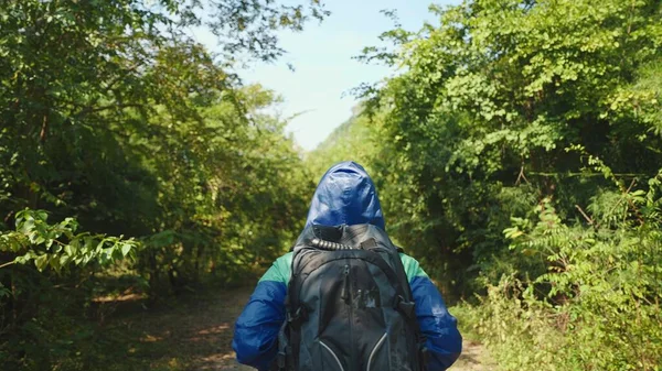 Caminante Mujer Impermeable Azul Con Mochila Caminando Por Selva —  Fotos de Stock