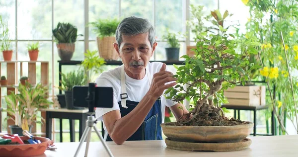 Kıdemli Bahçıvan Asyalı Erkek Blogcu Dergisi Sosyal Medyada Saksılarda Bitki — Stok fotoğraf