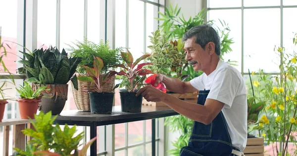 Planta Rega Homem Sênior Casa Verde Jardim Feliz Idosos Ásia — Fotografia de Stock