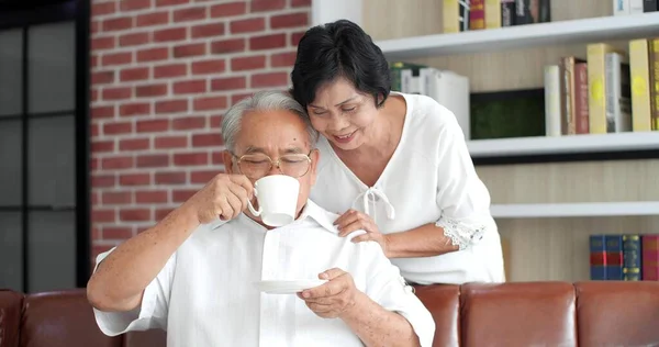 アジアの高齢者のカップルを愛し 自宅でソファに座ってリラックス 幸せなシニア退職生活 — ストック写真