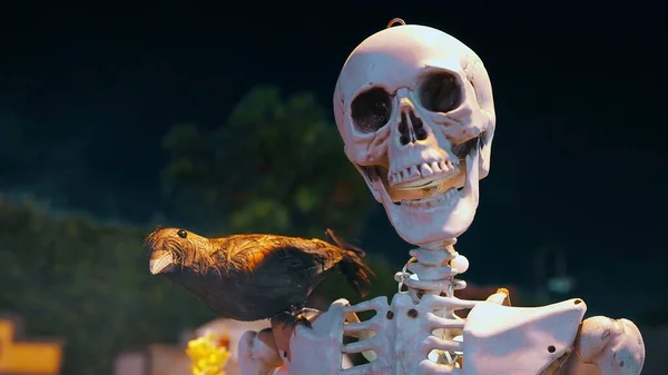 Ein Skelett Mit Einem Rabenschwarzen Himmelshintergrund Der Halloween Nacht Feiertags — Stockfoto