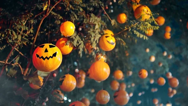 Halloween Pompoenen Hangen Aan Een Boom Halloween Avond Vakantie Halloween — Stockfoto
