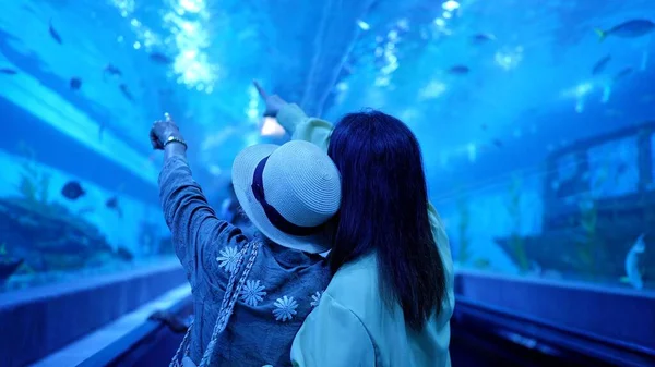 Yaşlı büyükanne ve yetişkin torunun arka plan ailesi sualtı manzarasının tadını çıkarıyor. Oceanarium 'da boş vakitleri olan aile yaşlıları