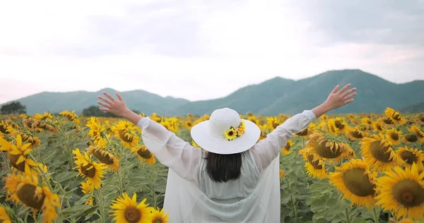 Back View Wonderful Woman Raising Her Hands Yellow Sunflower Field — Stock Photo, Image