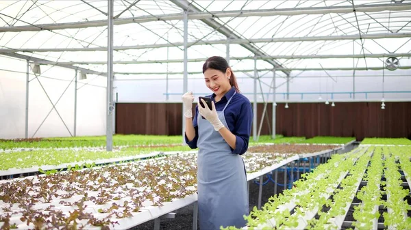 Mulheres Agricultoras Asiáticas Bem Sucedidas Trabalhando Usando Produtos Móveis Venda — Fotografia de Stock
