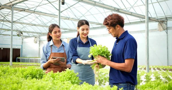 Organik Sebze Bahçesinin Sahibi Asyalı Çiftçi Organik Sebzelerle Ilgilenen Müşteri — Stok fotoğraf
