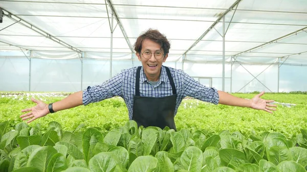 Asyalı Erkek Çiftçi Modern Hidroponik Sebze Çiftliğinde Kamera Mutluluğuna Başarılı — Stok fotoğraf