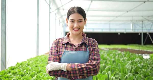 Retrato Jovem Mulher Asiática Agricultor Proprietário Com Braços Cruzados Olhando — Fotografia de Stock