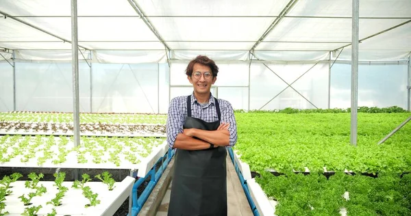 Asyalı Erkek Çiftçi Portresi Kollarını Kavuşturup Modern Hidroponik Sebze Çiftliğinde — Stok fotoğraf