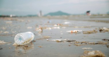 Plastik şişeler plajda çöp. Plaj kirliliği, çevre kirliliği, ekolojik sorun.