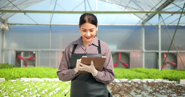 Jovem Agricultora Asiática Proprietária Fazenda Vegetal Orgânica Usando Tablet Digital — Fotografia de Stock