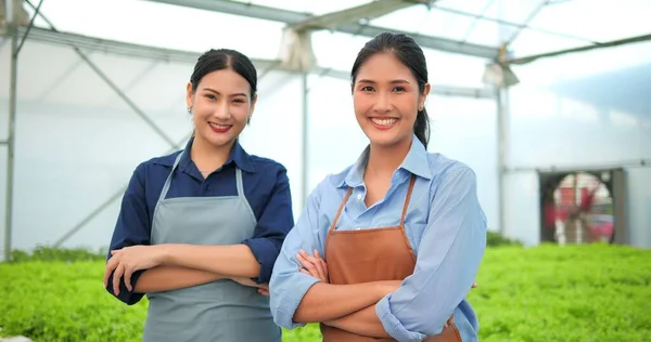 两个年轻的亚洲女农场主或农场主帕特纳的肖像站在有机蔬菜农场的小商店里 双手交叉在温室效应的水栽中 望着相机 — 图库照片